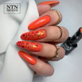Miniatyrbilde 2 av 4: NTN Premium - Gelelakk - Ambrosia - Nr162 - 5g UV gel/LED Orange