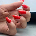 Pikkukuva 2 / 4: NTN Premium - Geelilakka - After Midnight - Nr66 - 5g UV geeli/LED Red