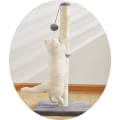 Miniatyrbilde 6 av 6: Kløestolpe for katt - Kattetre - Multicolor