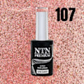 Pikkukuva 2 / 5: NTN Premium - Geelilakka - Romantica - Nr107 - 5g UV geeli/LED