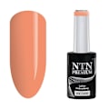 Miniatyrbild 1 av 5: NTN Premium - Gellack - Design Your Style - Nr37 - 5g UV-gel/LED Aprikos