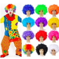 Miniatyrbild 1 av 5: Clown peruk - 10 färger Vit