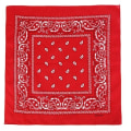 Miniatyrbillede 4 af 6: Bandana Paisley mønster tørklæder White