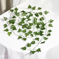 Pikkukuva 7 / 9: 6 metrin Ivy Garland - vihreä ja huoltovapaa Green