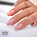 Miniatyrbilde 3 av 6: NTN Premium - Gelelakk - Day Dreaming - Nr62 - 5g UV gel/LED Beige