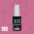 Pikkukuva 2 / 4: NTN Premium - Geelilakka - Sugar Sweets - Nr195 - 5g UV-geeli/LED