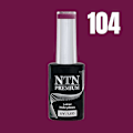Pikkukuva 2 / 5: NTN Premium - Geelilakka - Romantica - Nr104 - 5g UV geeli/LED