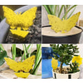 Miniatyrbillede 1 af 5: 20-pack Fluefangere - Fluefælde - Sød og effektiv FLUGA