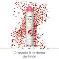Miniatyrbild 4 av 4: DOVE GO FRESH ADVANCED CARE granatäpple & citron deodorant - 200 ml - Alkoholfri