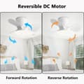 Miniatyrbild 4 av 7: Ceiling fan with LED lighting 24 W, 6 speeds, 3 ABS blades, silent with remote control and wall switch for bedroom Multicolor 61cm-Remote Control