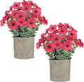 2-Pack Artificial Potted Plants – Small Fake Plants with Daisy & Eucalyptus, Artificial Flowers Home Decor Rose Red