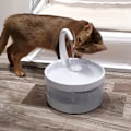 Miniatyrbild 2 av 5: Kattvattendispenser, Automatisk Vattenfontän, Hygienisk Cool Drin