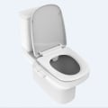 Miniatyrbillede 3 af 5: Klassisk bidet, justerbart vandtryk, toilet koldt vand bidet