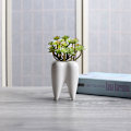 Miniatyrbillede 2 af 5: 2 stk. Hvide søde tandplantepotter Sukkulente tandplantepotter C