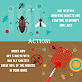 Pikkukuva 3 / 3: Retractable Fly Swatter (Punainen), Retractable Fly Swatter, Sturdy ja kestävä teleskooppivarsi, kevyt manuaalinen tuholaistorjunta