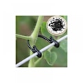 Miniatyrbillede 2 af 3: 100 stk. Vinstokbindere, Bindebøjlekroge, Grøntsagsplantetransplantat Cl