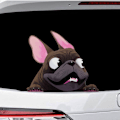 Miniatyrbilde 4 av 4: Bilstickers, Hundestickers, Søte Bilstickers, Hundevindustickers
