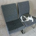 Miniatyrbilde 5 av 5: 1 stk Cat d'Epine hagegjerde mot hunder, katter kjæledyr 300 x 30 cm