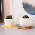 Miniatyrbillede 5 af 5: Silikoneunderlag, 4 stk. 10 cm, fødevaregodkendt, skridsikker, vandtæt, pletter