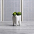 Miniatyrbillede 1 af 5: 2 stk. Hvide søde tandplantepotter Sukkulente tandplantepotter C