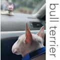 Miniatyrbilde 4 av 5: Khaki dørstopper i form av en hund, dørstopper, dekorativ dørstopper for dyr, bull terrier
