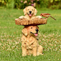 Miniatyrbild 3 av 5: Två lekfulla Golden Retriever-valpar i hartsfågelbad handmålade
