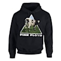 Pikkukuva 2 / 5: Pink Floyd - Atom Heart  Hoodie Huppari Black M