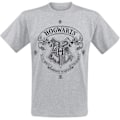Miniatyrbilde 1 av 3: Harry Potter - Hogwarts One Colour T-Skjorter Grey M