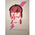 Pikkukuva 1 / 4: David Bowie David Bowie Aladdin sane (lady) Naisten T-Paita White M