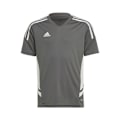 Miniatyrbillede 1 af 5: T-shirts Adidas Condivo 22 Jersey JR Grå 159 - 164 cm/L