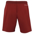 Miniatyrbillede 2 af 3: Bukser Tecnifibre Team Rød 188 - 192 cm/XL