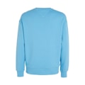 Pikkukuva 2 / 5: Puserot je Fleecet Tommy Hilfiger DM0DM16370CY7 Vaaleansiniset 184 - 188 cm/XL
