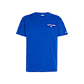 Pikkukuva 1 / 3: T-paidat Tommy Hilfiger DM0DM17712C66 Vaaleansiniset 179 - 183 cm/L