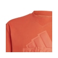 Miniatyrbillede 3 af 3: T-shirts Adidas FI Logo Tee JR Brun 93 - 98 cm/2 - 3 år