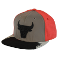 Miniatyrbillede 1 af 4: Hætter Mitchell & Ness Nba 5 Snapback Chicago Bulls Rød,Sort,Grå Produkt av avvikande storlek