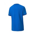 Pikkukuva 2 / 2: T-paidat Puma Teamgoal 23 Jersey Vaaleansiniset 140 - 152 cm/M
