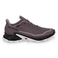 Pikkukuva 2 / 5: Puolikengät Salomon Alphacross 5 Gtx Violetit 38