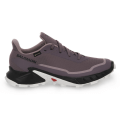 Pikkukuva 2 / 5: Puolikengät Salomon Alphacross 5 Gtx Violetit 38 2/3