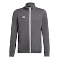 Miniatyrbillede 1 af 5: Sweatshirts Adidas Entrada 22 Track Grå 159 - 164 cm/L