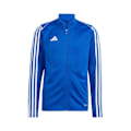 Pikkukuva 1 / 5: Puserot je Fleecet Adidas Tiro 23 League Training JR Vaaleansiniset 159 - 164 cm/L