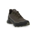Miniatyrbillede 1 af 5: Sneakers low Salomon Alphacross 5 Gtx Brun 41 1/3