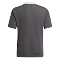 Miniatyrbillede 2 af 5: T-shirts Adidas Entrada 22 Jsy Grå 159 - 164 cm/L