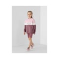 Miniatyrbillede 3 af 4: Sweatshirts 4F JBLD002 Lilla 122 - 127 cm