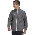 Miniatyrbild 2 av 3: Sweatshirts Adidas Entrada 22 Presentation Gråa 164 - 169 cm/S