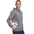 Pikkukuva 4 / 6: Puserot je Fleecet Adidas Entrada 22 Harmaat 188 - 193 cm/XXL