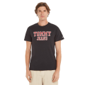Miniatyrbillede 1 af 3: T-shirts Tommy Hilfiger DM0DM16405BDS Sort 174 - 178 cm/M
