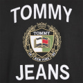 Miniatyrbillede 6 af 6: Sweatshirts Tommy Hilfiger DM0DM16376BDS Sort 184 - 188 cm/XL