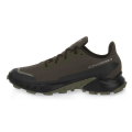 Miniatyrbillede 3 af 5: Sneakers low Salomon Alphacross 5 Gtx Brun 41 1/3