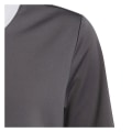 Miniatyrbild 4 av 5: Shirts Adidas Entrada 22 Jsy Gråa 135 - 140 cm/S