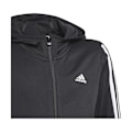 Miniatyrbillede 4 af 4: Sweatshirts Adidas Designed TO Move Sort 135 - 140 cm/S